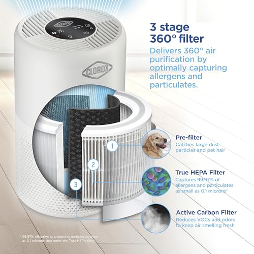 Medium Room Turbo Air Purifier with True HEPA Filter for Home