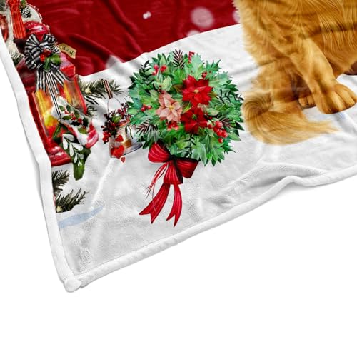 Red Christmas Throw Blanket 50x60in Soft Cozy Holiday Snowflakes Dog Decor
