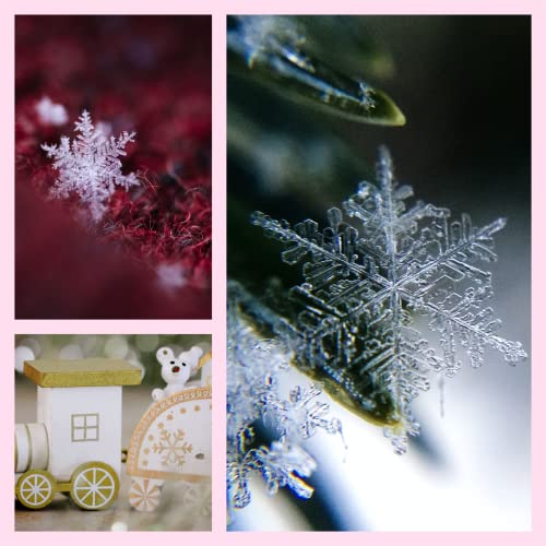 Morex Snowflake 2.5" x 50yd Gold Wired Glitter Ribbon – Sheer Nylon