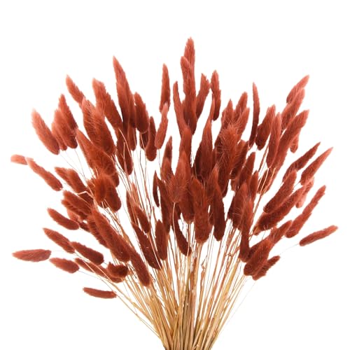 120pcs Burnt Orange Dried Bunny Tails 17-Inch Pampas Grass Boho Decor