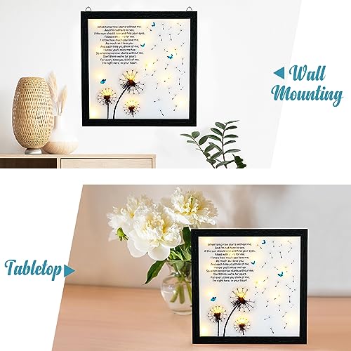 LED Memorial Shadow Box Sympathy Gift with Dandelion Print 11x11