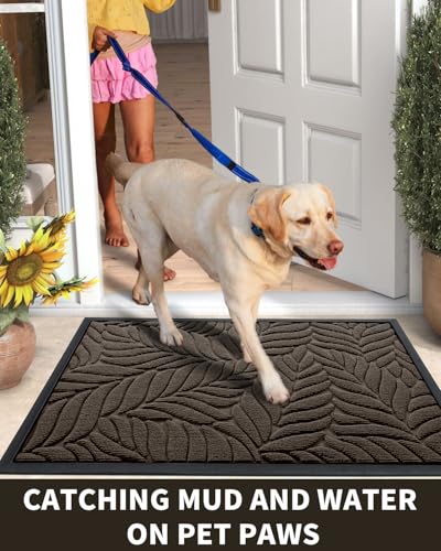 All-Weather Front Door Mat - 29.5x17 Inch Non-Slip Outdoor Entryway Rug