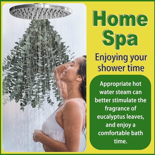 Preserved Dried Eucalyptus Stems - 11 Pack 17 Inch Shower Eucalyptus Decor