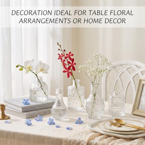 Clear Glass Bud Vase Set of 12 - Small Flower Vases for Table Centerpieces