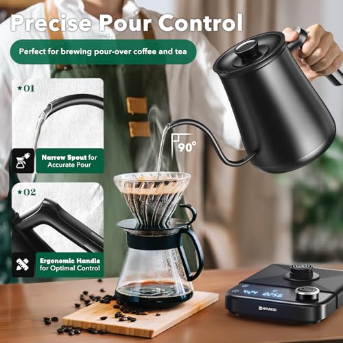 Electric Gooseneck Kettle with Precise Temperature Control, 0.8L