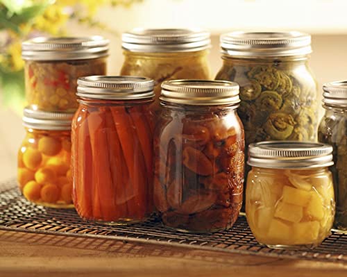 Regular Mouth Canning Lids and Rings (24 Pack) - Airtight Mason Jar Lids