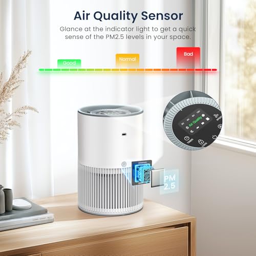 H13 True HEPA Air Purifier for Large Rooms with Fragrance and Sleep Mode