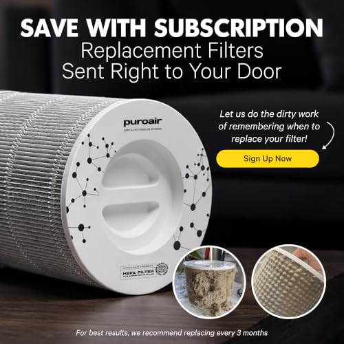 PuroAir 240 HEPA Air Filter Replacement Pack (2-Pack) - Genuine 240 Filter