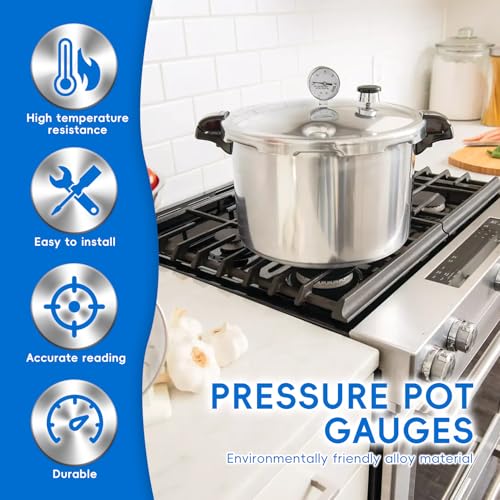 Pressure Cooker Canner Steam Gauge Replacement, 0-20 PSI Accurate Monitor
