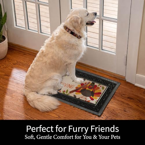 5-Piece Interchangeable Seasonal Doormat Set with Rubber Tray - 18 x 30