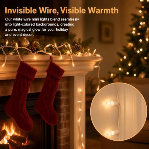 TERSHEEN 100 Count Christmas String Lights 21ft White Wire Incandescent Decor