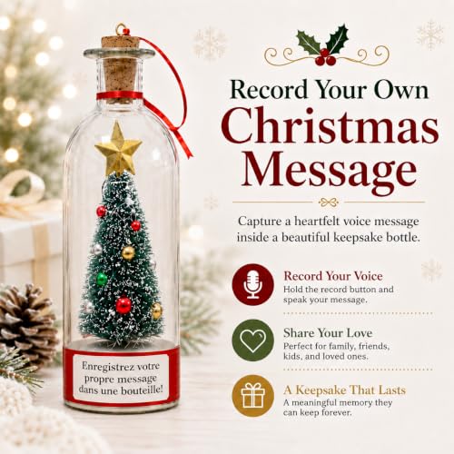 CRILEAL Blue Recordable Christmas Tree Ornament with Snow Scene, 25-Second Voice Message