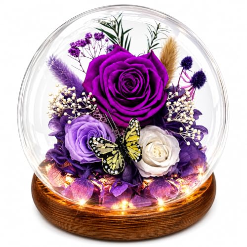 Preserved Rose in Glass Dome with LED Lights - Eternal Flower Gift