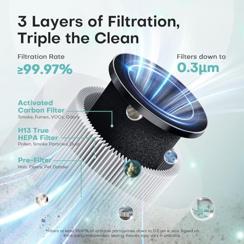 VOOPNU True HEPA Air Purifier for Home, Pet Hair, Odors & Smoke