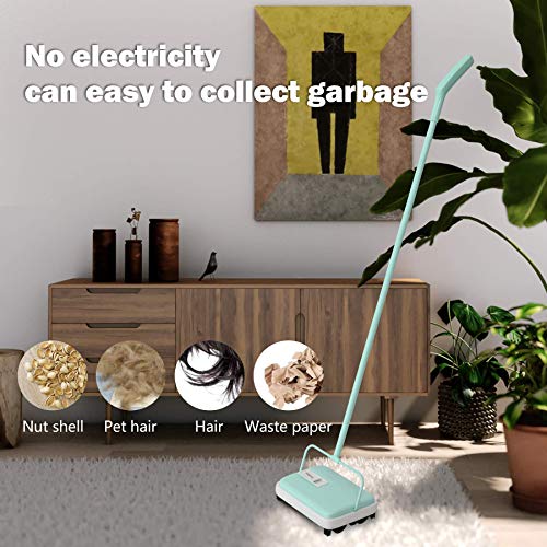 Eyliden Mini Carpet Sweeper, Non-Electric Hand Push Rug Cleaner, Mint