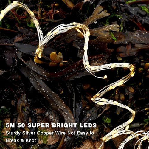 Timer Fairy Lights Battery Operated 16.4ft 50 LEDs Warm White 5 Modes