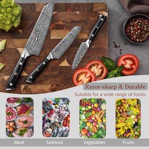Wakoli Nitoko 3-Piece Kiritsuke Damascus Knife Set VG10 Core, G10 Handles - Kitchen Knives