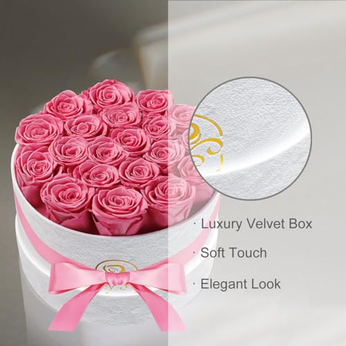 20 Preserved Real Roses in Luxury Velvet Gift Box - Long Lasting Flowers