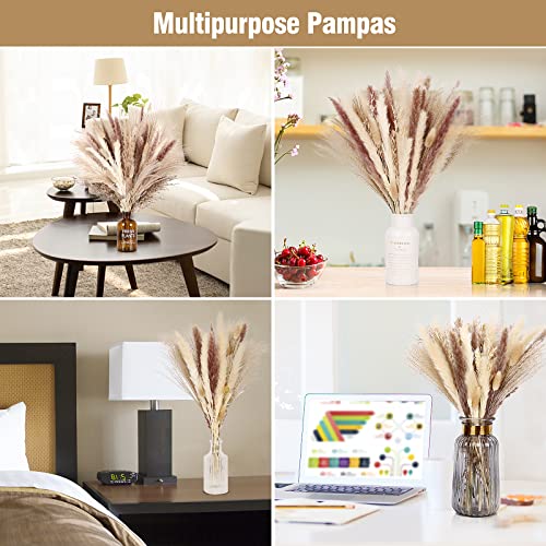 75 Pcs Natural Dried Pampas Grass Decor - Fluffy Boho Bouquet for Vases