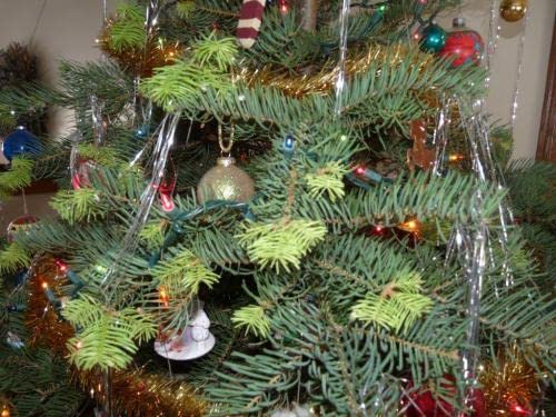 Christmas Tree Food Preservative - 8 oz Concentrate to Reduce Needle Drop