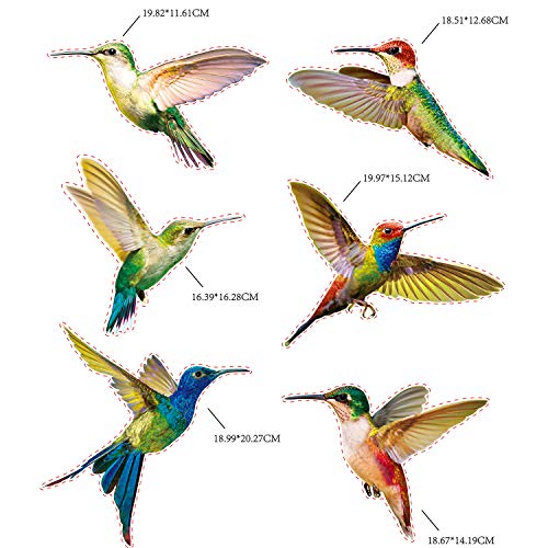 Hummingbird Window Decals - 6 Pack Colorful Anti-Collision Stickers