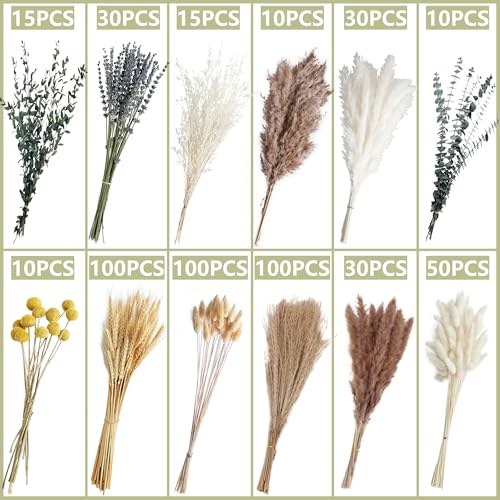 500-Piece Dried Pampas Grass Bouquet - 17-Inch Boho Floral Decor