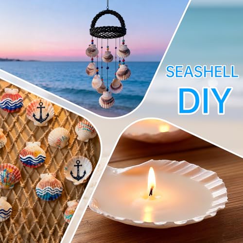 10-Pack Natural Large Scallop Shells (4-5 In) for DIY Crafts & Decor