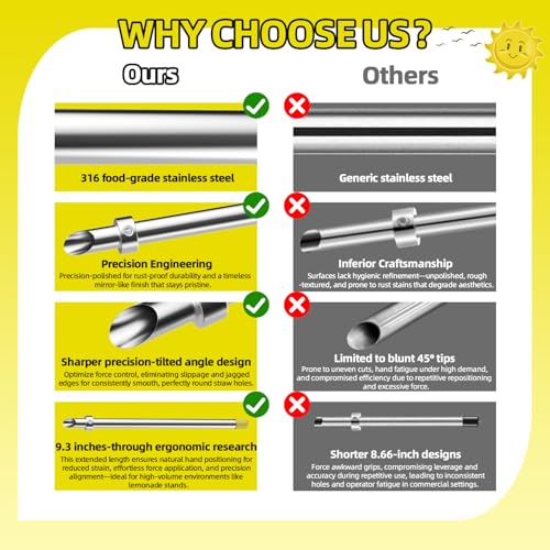 6-Piece Lemonade Stand Kit with Stainless Steel Straws, Muddler & Brushes - Professional Beverage Tools