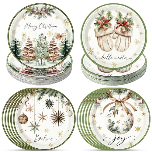 60 Pcs Christmas Disposable Paper Plates 9 Inch - Vintage Xmas Dinner Plates, 4 Styles, 60 Count, Fresh Style