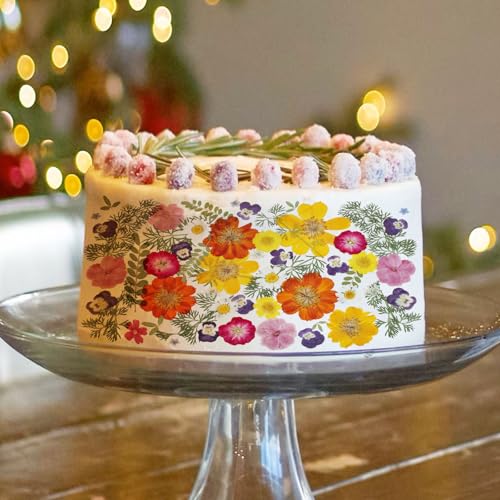 Natural Dried Pressed Flowers, 48-Piece Assorted Real Floral Set for Crafts