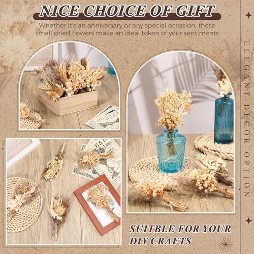 24 Pcs Mini Dried Flower Bouquets, Natural Boho Floral Decor for Weddings