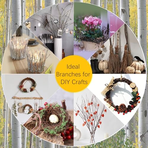 17-Inch Natural Birch Branches, Dried Twigs for Rustic Decor (30 Pack)