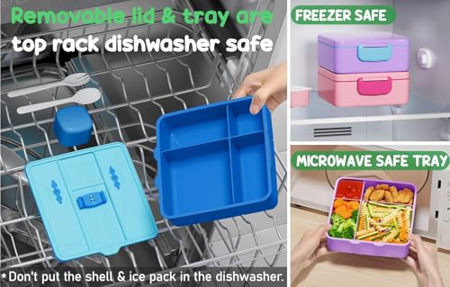Bento Lunch Box for Kids with Built-in Ice Pack - 4 Compartment Leak Proof