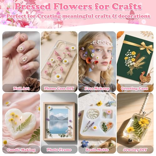 630 Pcs Dried Pressed Flowers and Butterfly Stickers Set for DIY Crafts