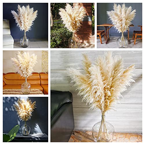 46-Inch Tall Dried Pampas Grass Decor - 10 Stems Fluffy Boho Floral Bouquet