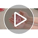 Candy Cane Christmas Decor Set with Glass Jar & 50 Mini Resin Candy Canes - White Lid