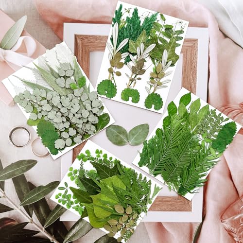 84 Pcs Natural Pressed Dried Leaves & Flowers for Resin Crafts & DIY