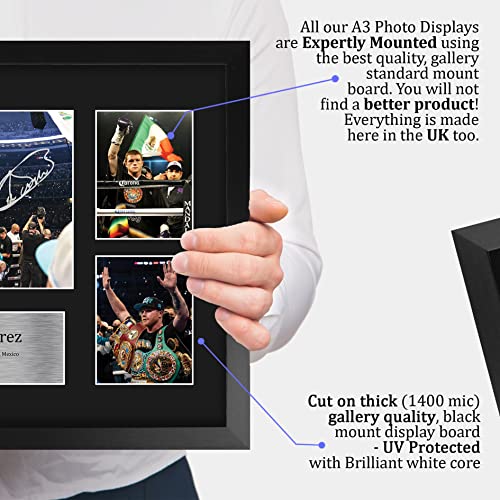 Canelo Alvarez Framed Boxing Photo Display 16 x 12 Inch Memorabilia