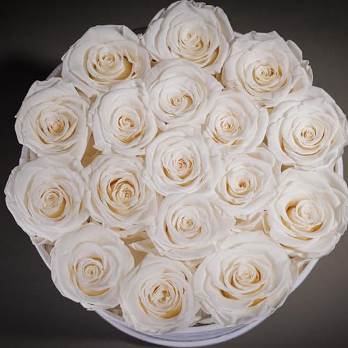 17 Preserved Real Roses in Luxury Velvet Gift Box - Eternal Flowers