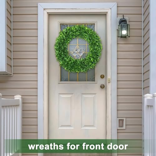 22-Inch Artificial Boxwood Wreath for Front Door - All Season Greenery