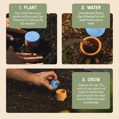 Small Terracotta Olla Self-Watering Pot for Garden Beds & Grow Bags