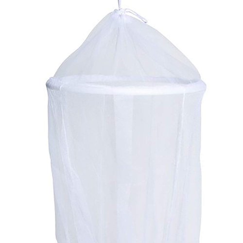 Room101 Princess Kids Children Bed Canopy