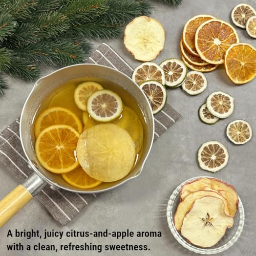 Stovetop Simmer Pot Potpourri Kit with Dried Citrus and Apple Slices