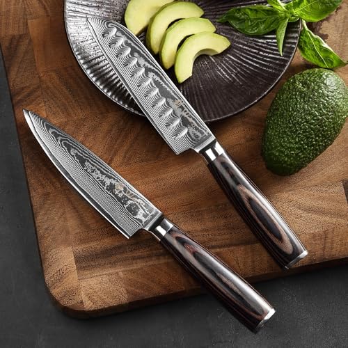 Wakoli Essentials Chef & Santoku Knife Set (2-Piece) VG10 Damascus – 9.26in Chef & 9.1in Santoku