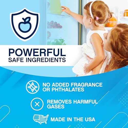 Refrigerator Deodorizer Odor Eliminator 2 Pack Activated Charcoal