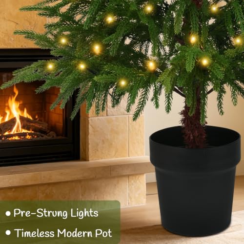 3 ft Pre-Lit Norfolk Pine Christmas Tree with 70 Warm LEDs, No Mess Premium PE