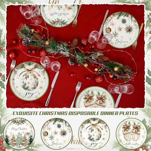 60 Pcs Christmas Disposable Paper Plates 9 Inch - Vintage Xmas Dinner Plates, 4 Styles, 60 Count, Fresh Style