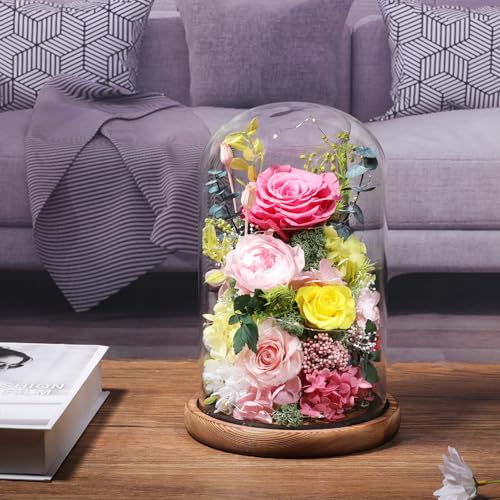 Preserved Pink Rose in Glass Dome with LED Lights for Romantic Gifts