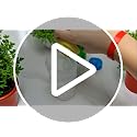 Reusable Soda Can Covers - Plastic Drink Lid Protectors for Standard Cans
