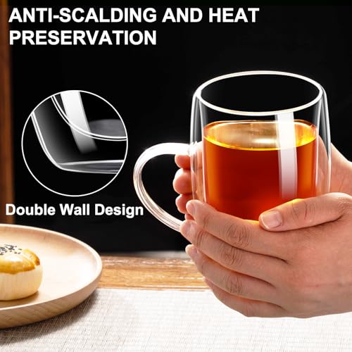 Baalaka 16 fl oz Double-Wall Glass Tea Mug with Infuser & Lid